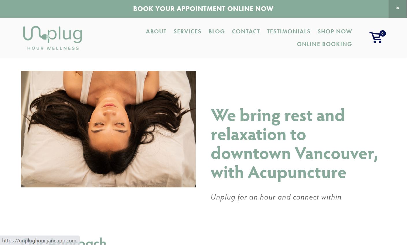 acupuncture wellness copywriting